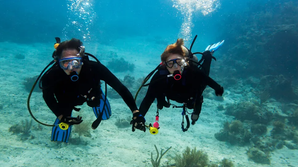 Plongée sous-marine à Djerba